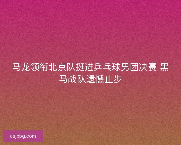 马龙领衔北京队挺进乒乓球男团决赛 黑马战队遗憾止步 马龙领衔北京队挺进乒乓球男团决赛 黑马战队遗憾止步